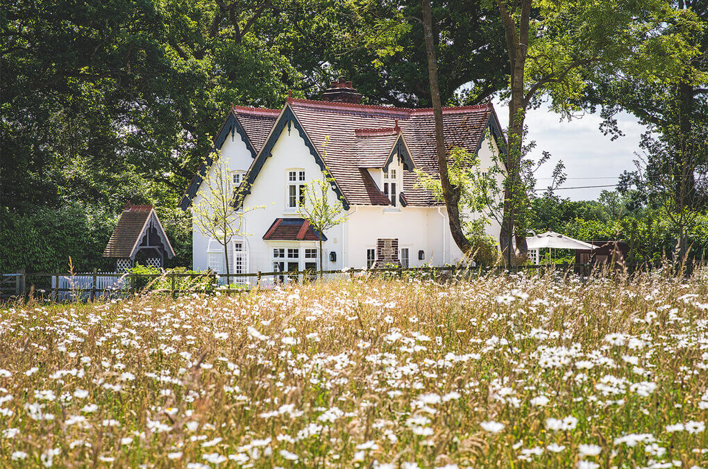 period-cottage-architecture-exterior-remodel-update-in-berkshire-flower-field